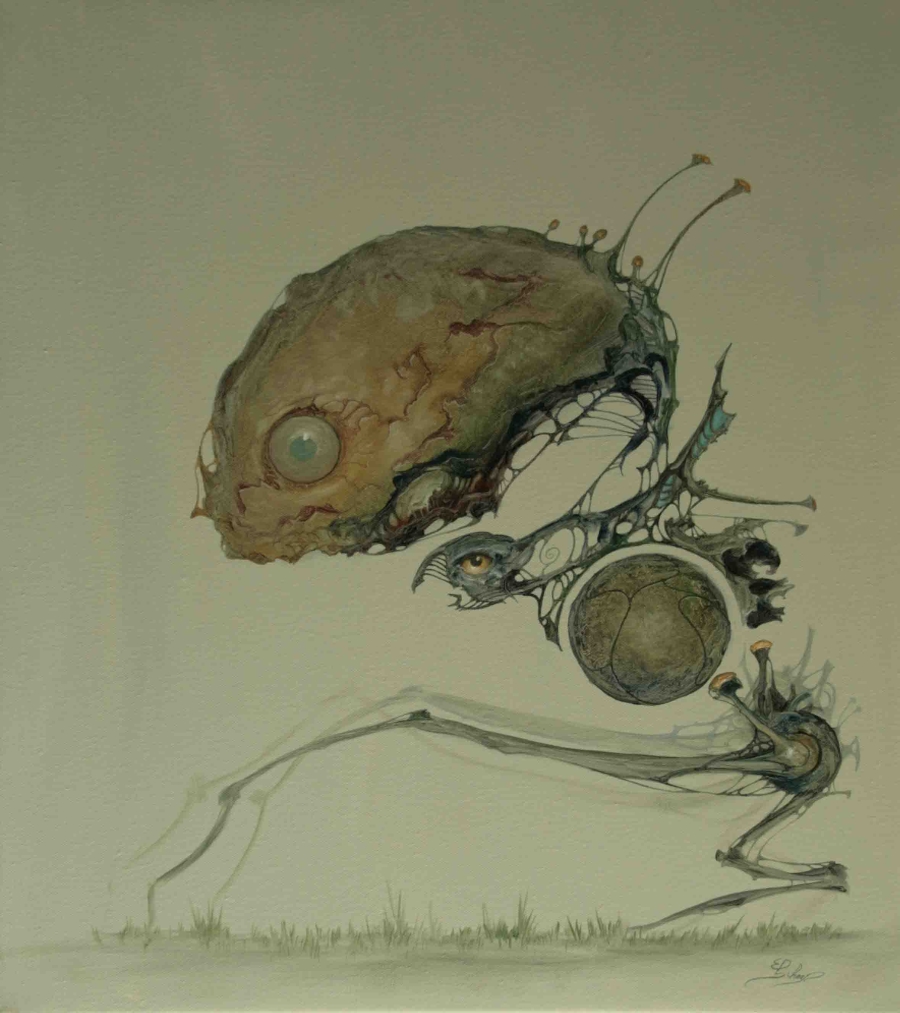 Ed schaap